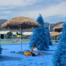 놀이터 존 | 청도 핫플 플레이청도 후기 파란모래 놀이터 체험존