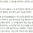 어미고래 Daum카페