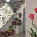 잘차려진 바다 이미지