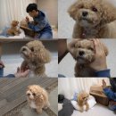 토리농장 이미지