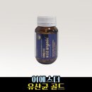 에스더 이미지
