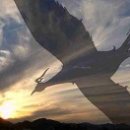 우진트레이딩 이미지