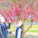 수원천로392번길 이미지