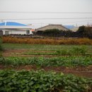 우도(마을식당 옆) 이미지