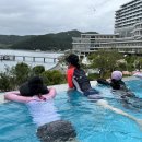 한화리조트거제벨버디어 수영장 이미지