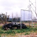 삼양지석묘 1호 이미지