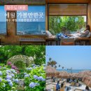 애월사랑 | 제주도 애월 가볼만한곳 후기 BEST4