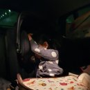 강릉 쌍둥이 동물농장 이미지