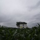 언덕위에 하얀집 이미지