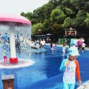 더숲190 | 광주 무료 물놀이장 26년 광주시민의숲 개장 후기