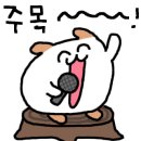 아울정 이미지