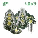 한별장례문화원 쇼핑하우