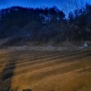 우천농장 이미지