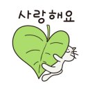 월수금;꽃