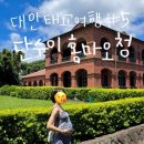 아기자기한 손그림 일러스트 (A) NEW | 만한곳 추천 | 더그랜드호텔 타이베이 내돈내산 방문후기 | 단수이 홍마오청 진리대학교 포토존...