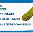 동방산소 이미지