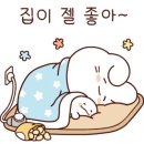 여수 골프샵 마제스티 서브라임 중고 드라이버 구매 후기