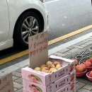 달아유 이미지