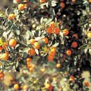 두루누릴 농장 이미지