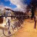 두스테이 이미지