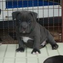 플러스에이 이미지