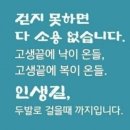 관악산(8월 25일 일요일 7시) 이미지