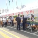 간절곶토마토협동조합 이미지