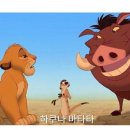 하쿠나마타타 이미지