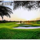 그린골프클럽 이미지