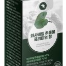 엔루체아