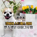 고인걸애견미용전문샵 | 송도 애견미용 잘하는 곳 더힐그루밍 장모치와와 미용 후기