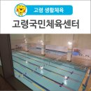 고령국민체육센터 | [고령 생활체육] 수영장, 탁구장, 헬스까지! 고령국민체육센터