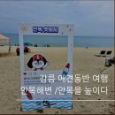 낭만상회.com | 강릉 애견동반여행 안목해변 오션뷰《안목을 높이다》펜션