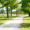 로웰공인중개사사무소 이미지