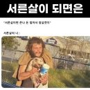 파크그린 이미지
