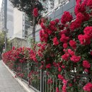 은평구심리상담 마음다움 파인아트 카운슬링 (예술치료) 후기
