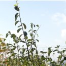 주)낙안온천 이미지