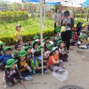 즐거운상아어린이집 이미지