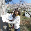 매화숲유치원 이미지