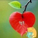 11월21일 목요일 출석글 이미지