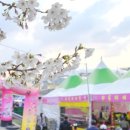 원마트약국 이미지