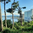 속초 외옹치.롯데 리조트 이미지