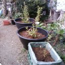 영후농장 이미지