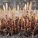 노동하리 이미지