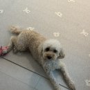 동우보링 이미지