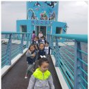 울릉초등병설유치원 이미지