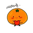 멜로우즈 이미지