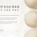 디저트카페하나둘