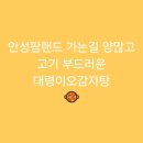 고기대령이오 | [안성]안성팜랜드 가는길 양많고 고기 부드러운 대령이오감자탕