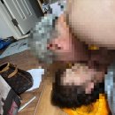 김예자 | 사막에서 꽃을 피우겠냐고 ?